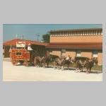 Calyope0001.jpg