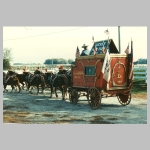 Calyope0003.jpg