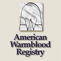 Ammerican Warmbloods